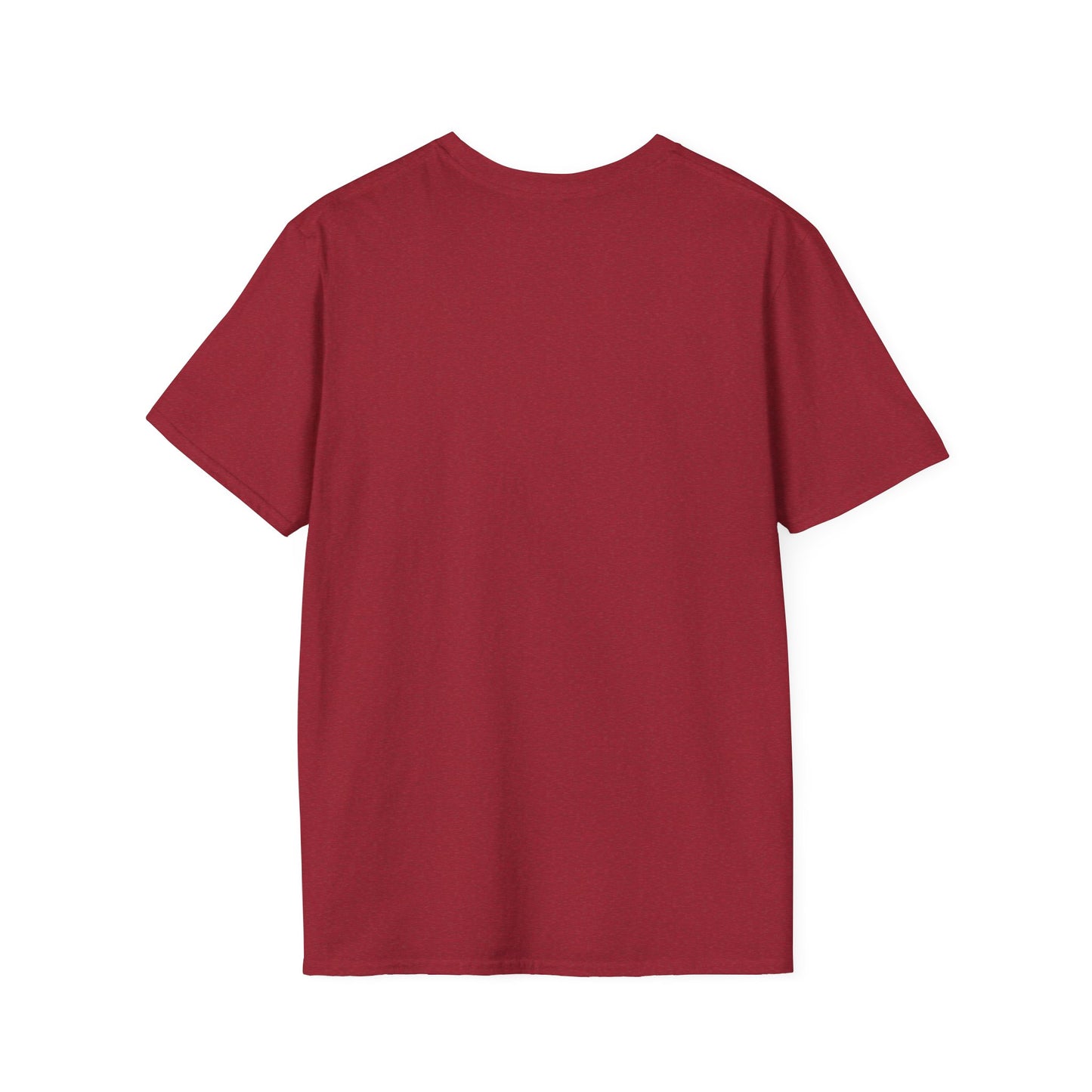 AIV Lifestyle Graphic T-Shirt