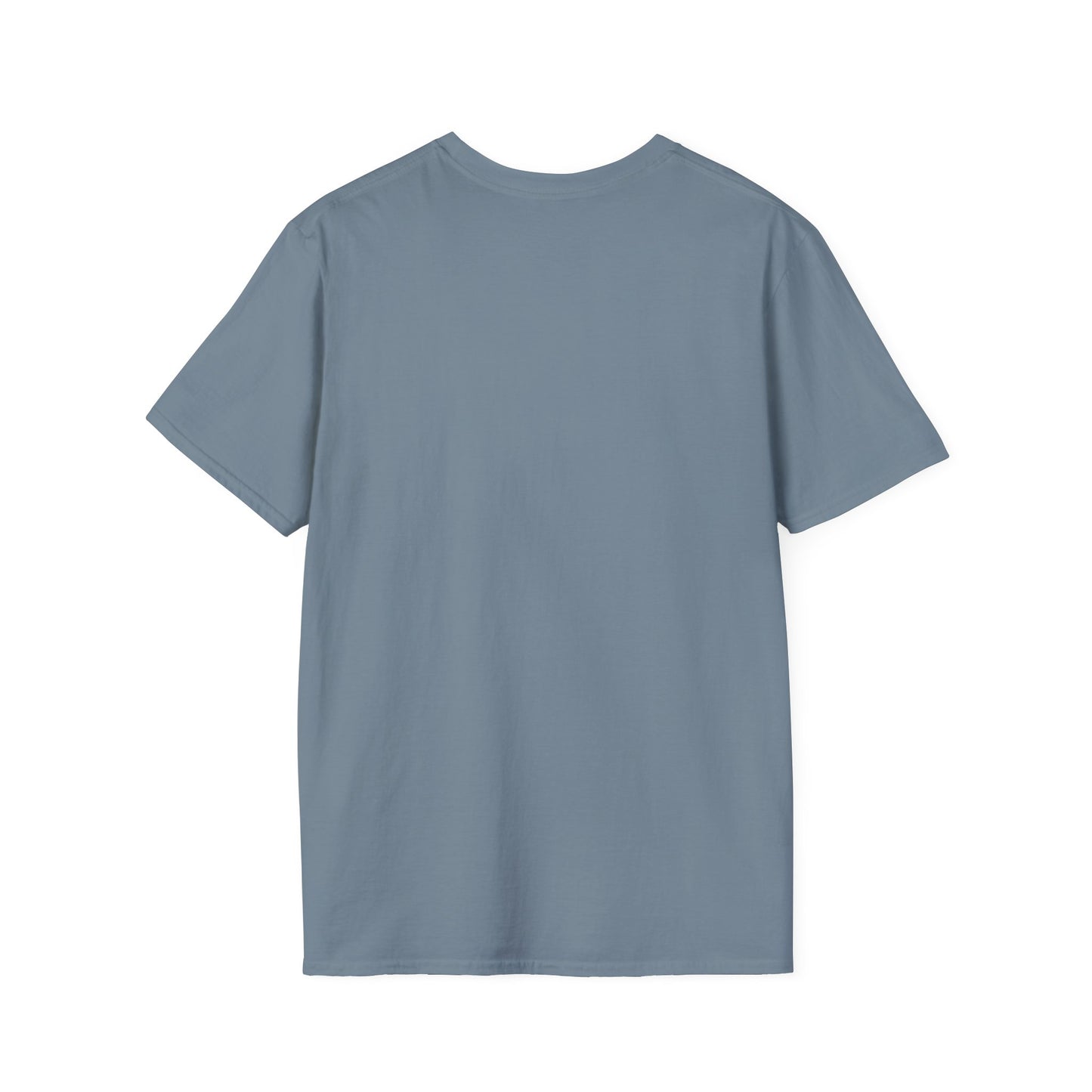 AIV Lifestyle Graphic T-Shirt